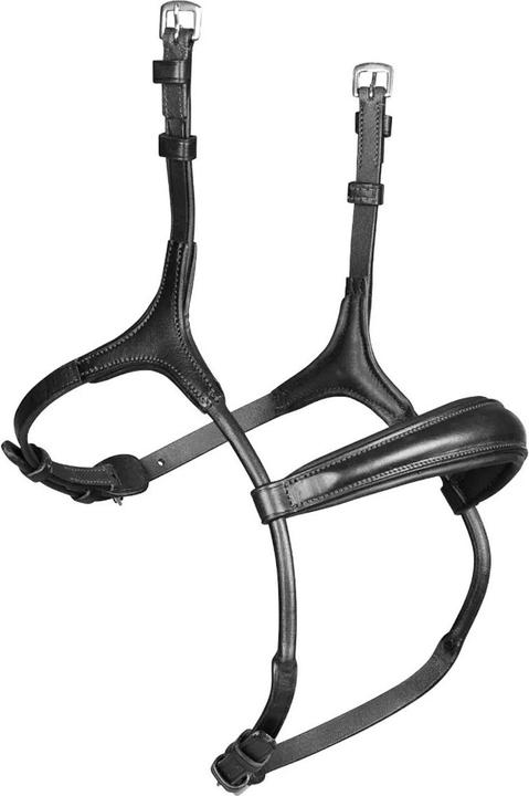 Image du produit Velociti - Caveçon LUSSO