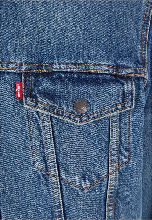 Actual product image Levis Type 3 Sherpa Trucker denim jacket - 86837 (L, S)