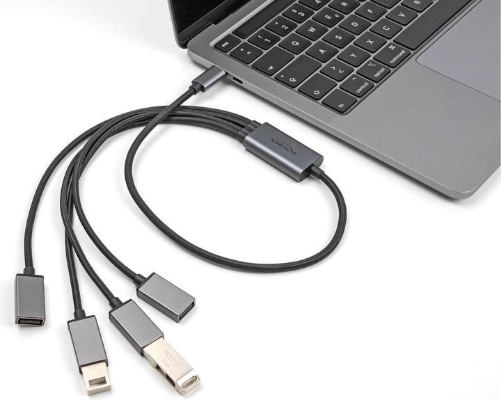 Actual product image Delock Hub (USB-C, 4 ports)