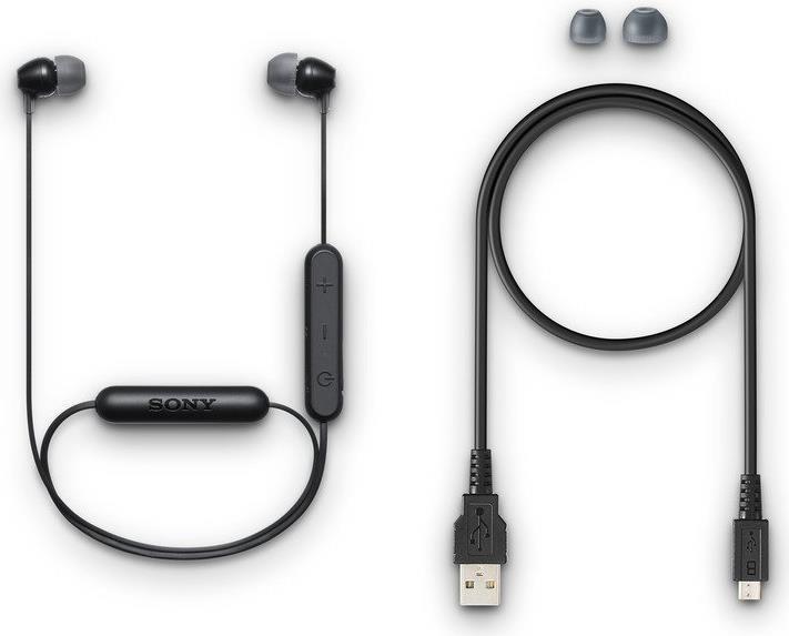 Produktbild Sony Wi-C300 (8 h, Kabellos)