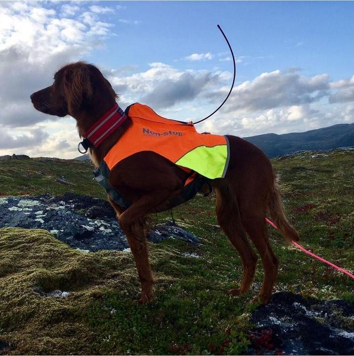 Actual product image Non-Stop Dogwear Pector Vest GPS (L, Dog vest)