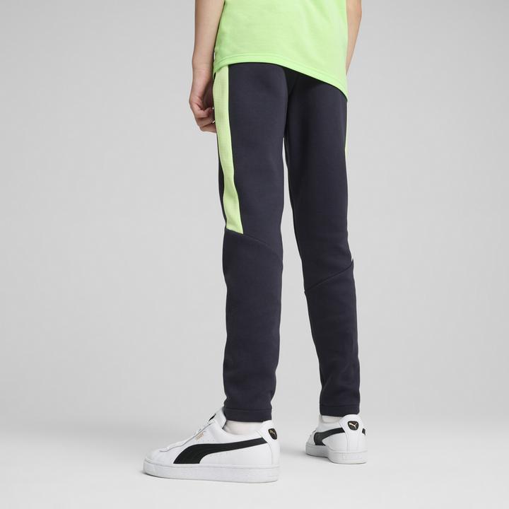 Actual product image Puma EVOSTRIPE Pants DK B