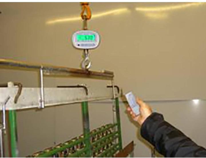 Actual product image PCE Instruments Crane scale