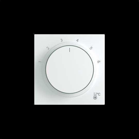 Actual product image Busch-Jaeger Central disc