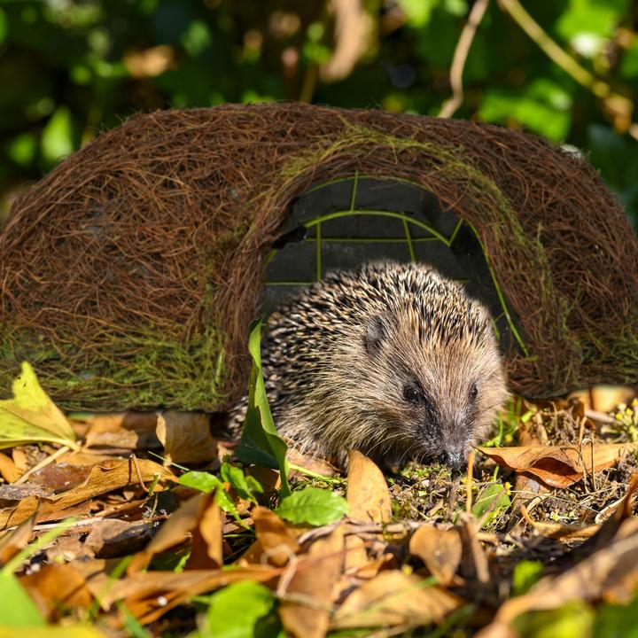 Produktbild Relaxdays Katzenschrank (Katzenklo geschlossen)