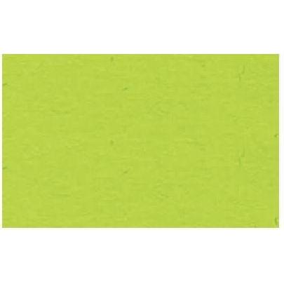 Ursus, Bastelpapier, Fotokarton 300g/qm A4 VE=50 Blatt hellgrün (300 g/m², 1 x)