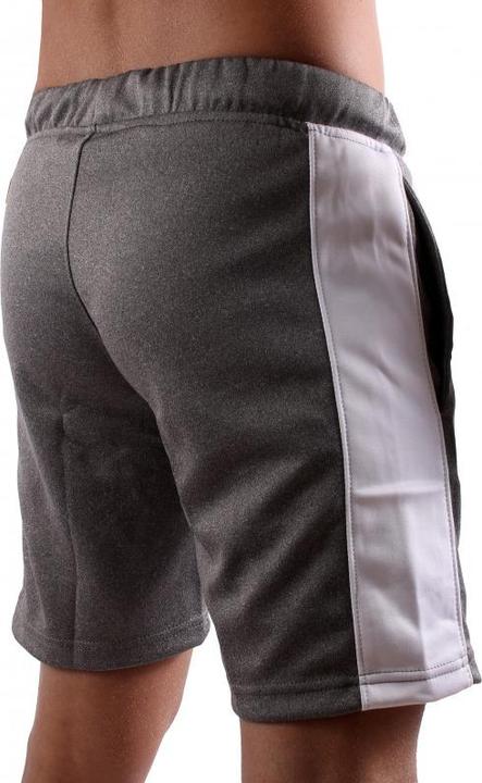 Actual product image Gym Generation Urban Force Shorts Frost Grey (S)