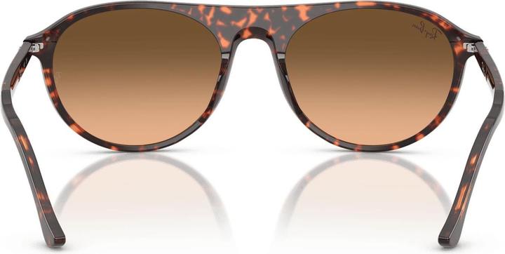 Actual product image Ray Ban RB2215