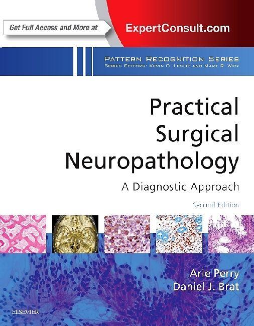 Produktbild Practical Surgical Neuropathology: A Diagnostic Approach (Englisch)