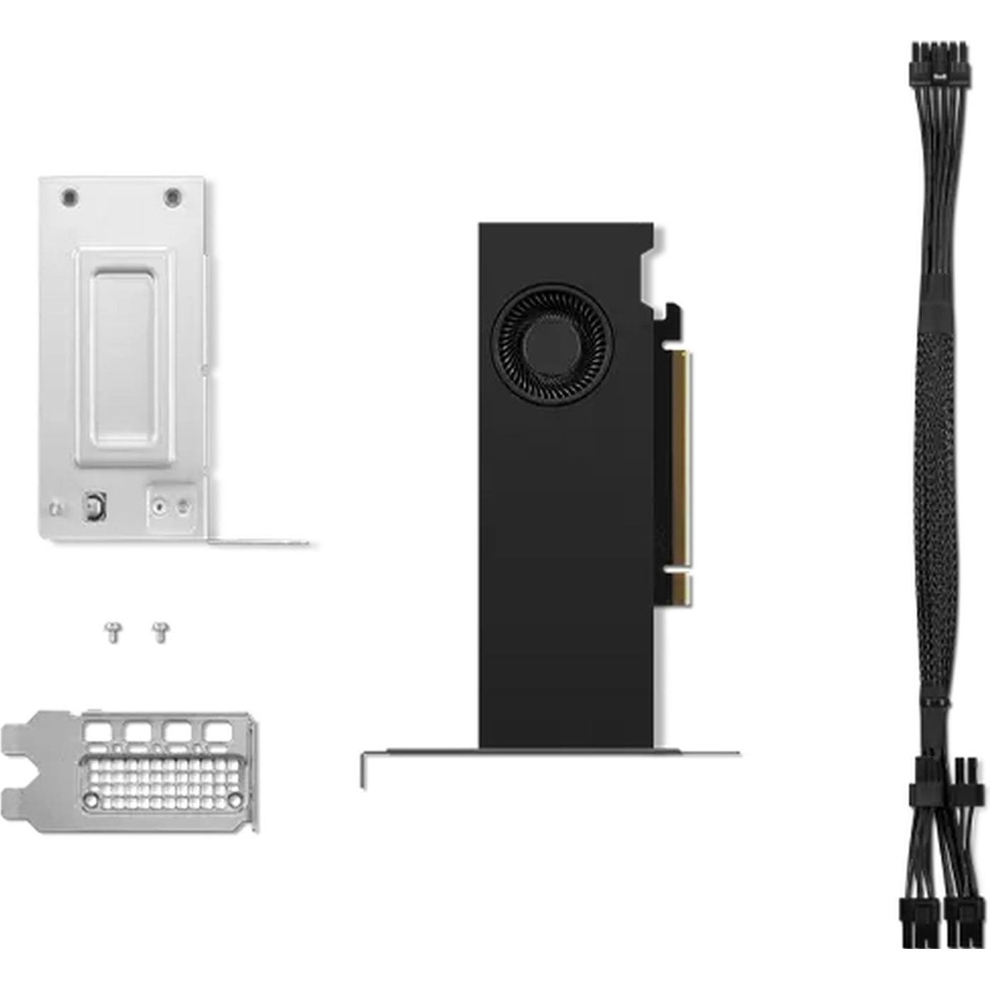 Lenovo NVIDIA RTX 2000 ADA 16GB (16 GB), Grafikkarte