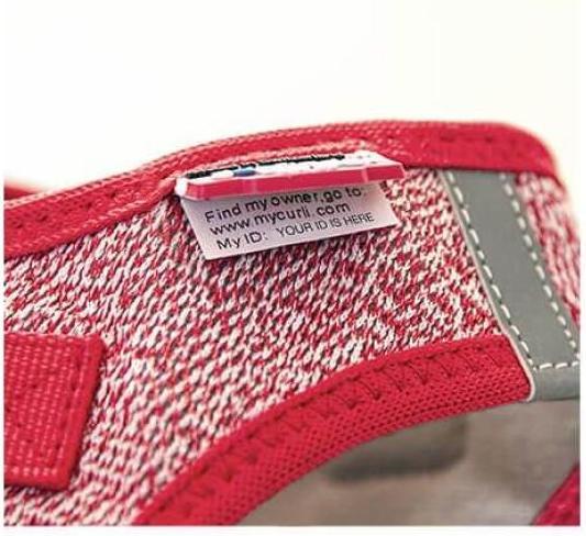 Actual product image Curli Tableware Merino (3XS, Dog, General)