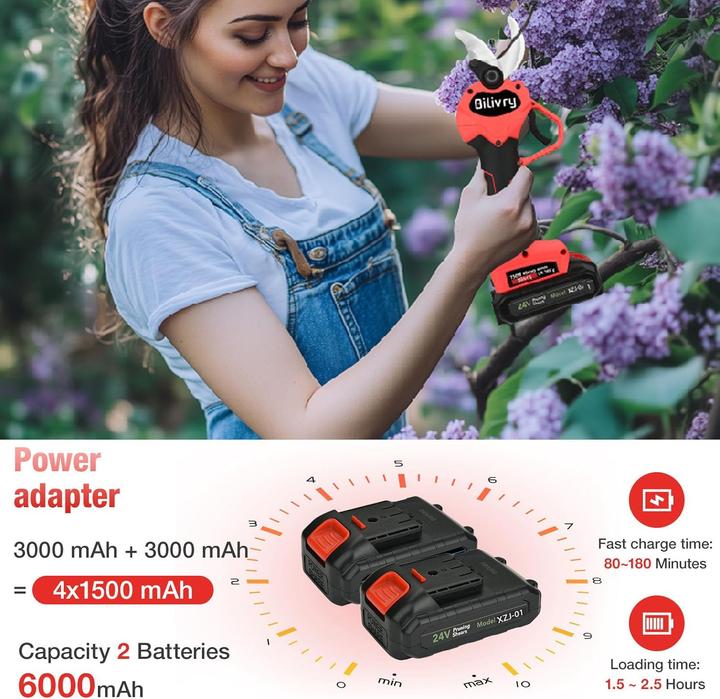 Image du produit Bilivry Sécateur élagueur sans fil