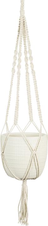 Actual product image Scheurich hanging traffic light 868 (15.60 cm)