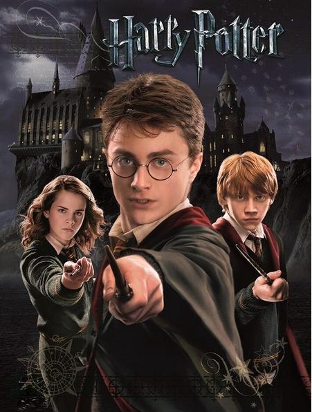 Produktbild Bedruckt Harry Ron And Hermione (30 x 40 cm)
