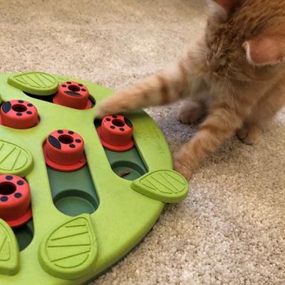 Productafbeelding Petstages Puzzel (Kattenspeeltje)