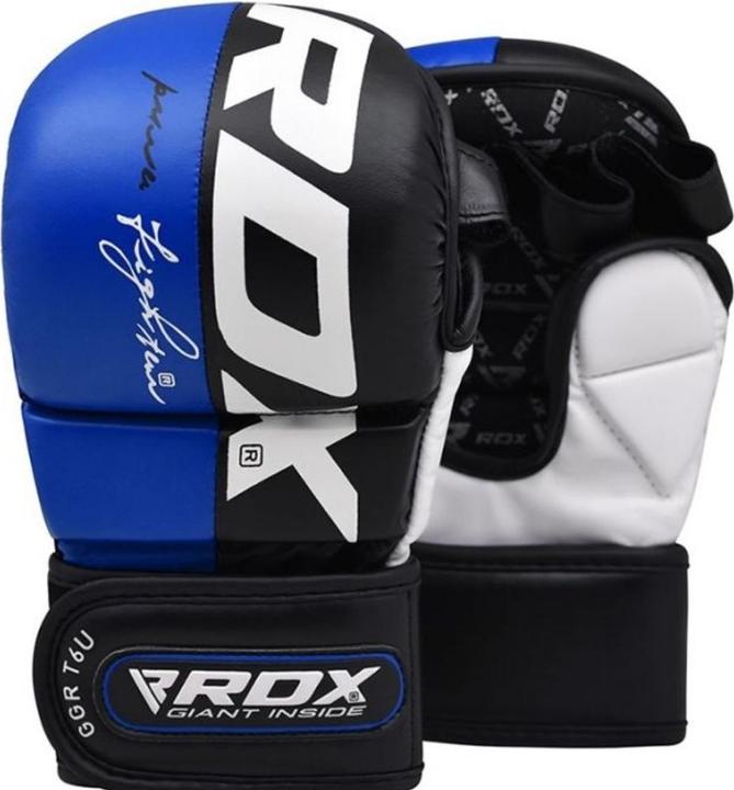 Guanti da boxe