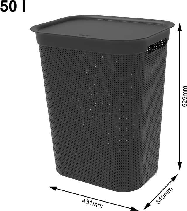 Actual product image Rotho Brisen (50 l)
