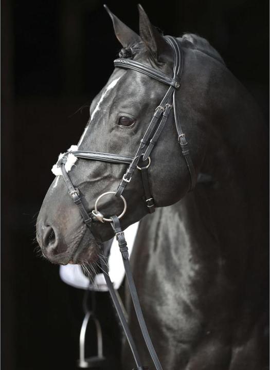 Immagine prodotto Kerbl Briglia Snaffle Cancun nera, pony