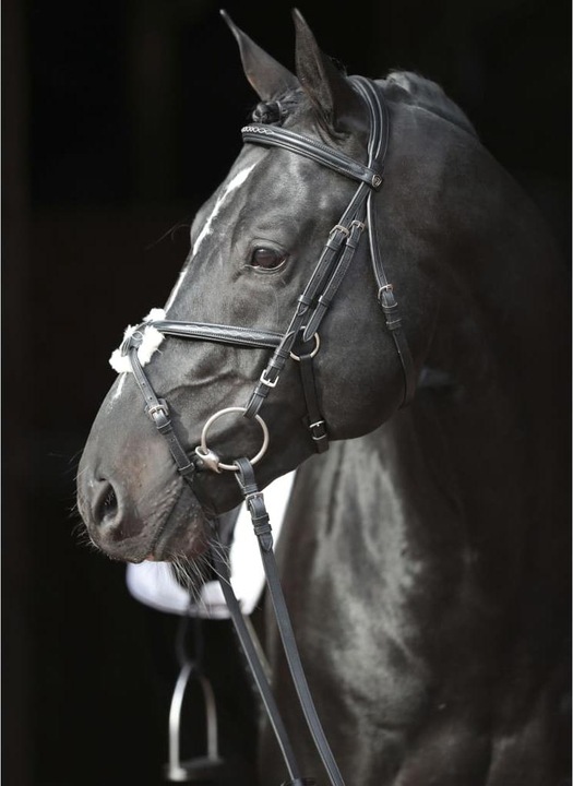 Actual product image Kerbl Snaffle bridle Cancun black, pony