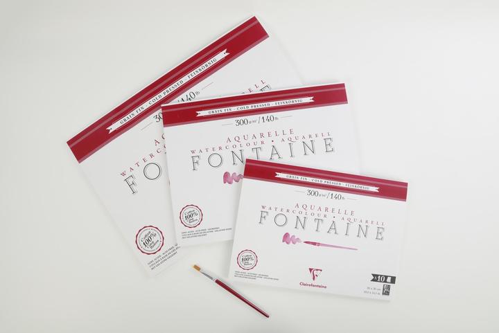 Image du produit Clairefontaine - Blanc (300 g/m², 10 x)