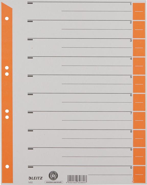 Image du produit Leitz Intercalaire imprimé en couleur