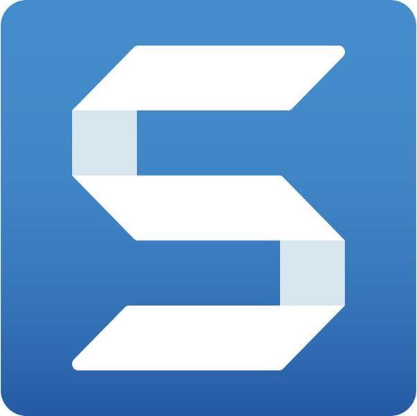 TechSmith Snagit 2018 (1 User, unbegrenzt)