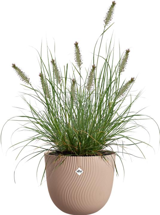 Produktbild Elho Sereh (29.50 cm)