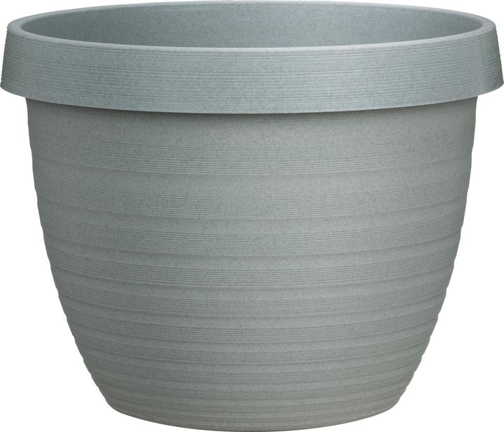 Immagine prodotto Scheurich Stella del paese (24 cm)