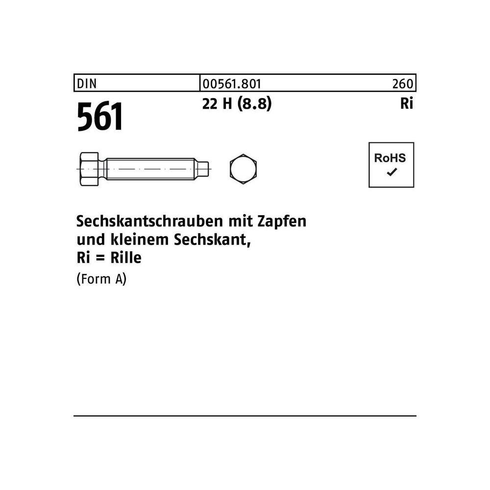 Schrauben, Sechskantschraube DIN 561 m.Zapfen AM 30 x 60 22 H (8.8) (10 Schrauben pro Stück)