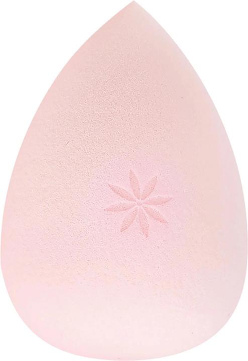 Brush Works Complexion Sponge