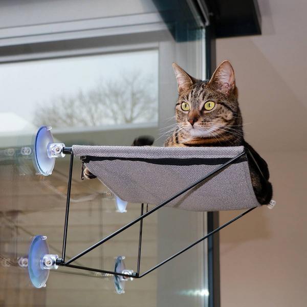 Actual product image D&D Olivia (Cat)