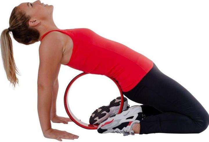Image du produit Pure2improve Roue du yoga
