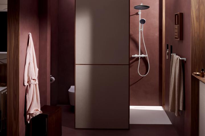 Actual product image hansgrohe Raindance Alive S PURO système de douche 300 1jet EcoSmart avec élément Ecostat, 24593700, 24593700