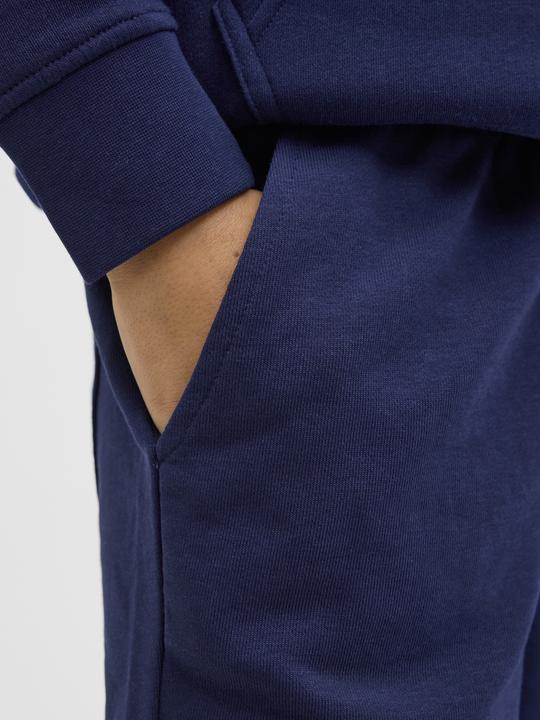 Image du produit Jack & Jones Jpstvesterbro Sweat Shorts Gms Sn Jnr (176)