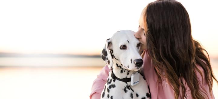 Actual product image Tractive GPS 2 Pet Tracker (Dog, Cat, Walks)