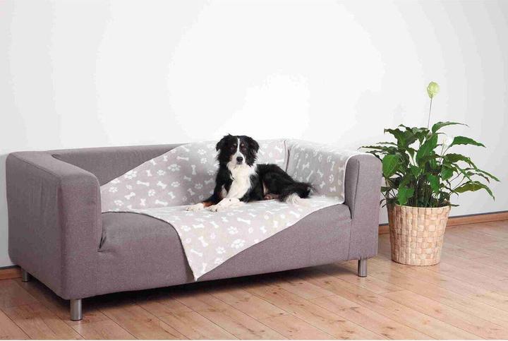 Actual product image Trixie Kenny (Dog)