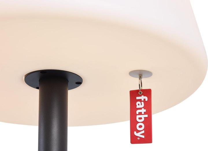Image du produit Fatboy Edison le géant