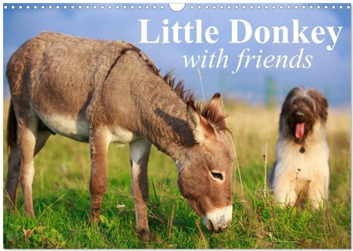Produktbild Little Donkey with Friends (Wall Calendar 2026 DIN A3 landscape), 12 Month Wall Calend (A3)