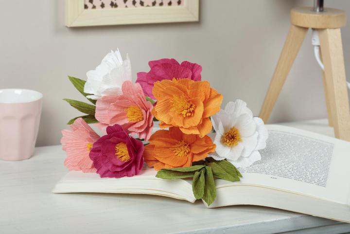 Actual product image Clairefontaine Creative kits