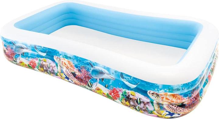 Immagine prodotto Intex Silas (305 x 183 x 56 cm)