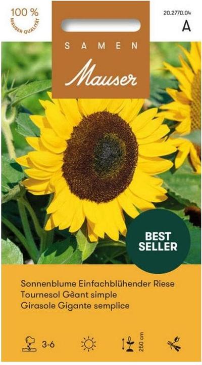 Image du produit Samen Mauser Tournesol géant à fleurs simples (Graines de plantes)