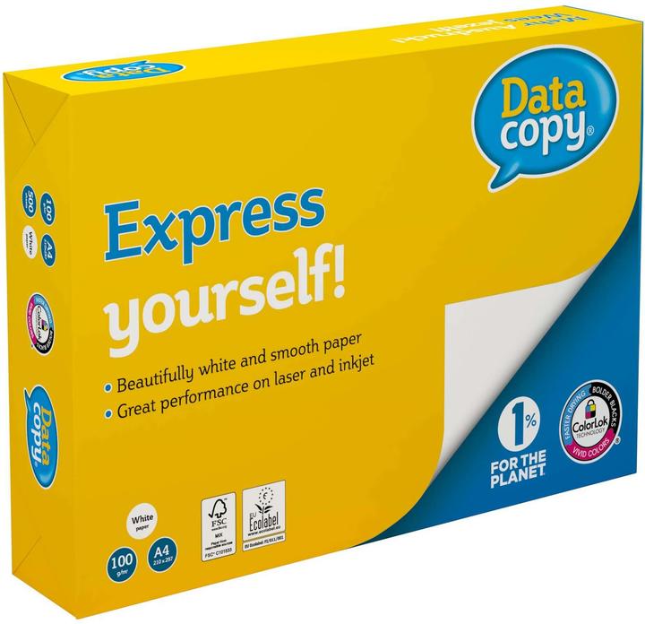 Image du produit Data Copy Papier multifonction Datacopy, 500 feuilles (A4, 500 feuilles, 100 g/m²)