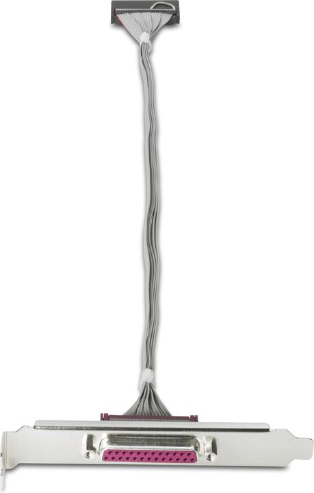 Immagine prodotto HP Adattatore porta parallela KD061AA