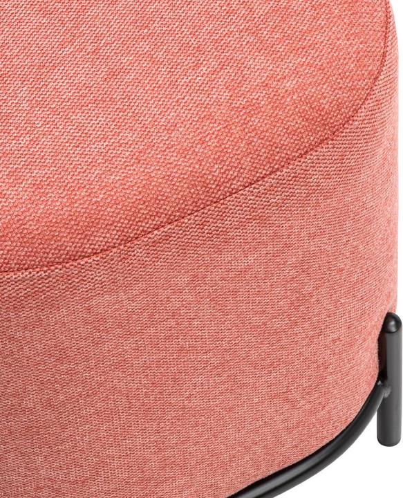 Actual product image BYYU Fred