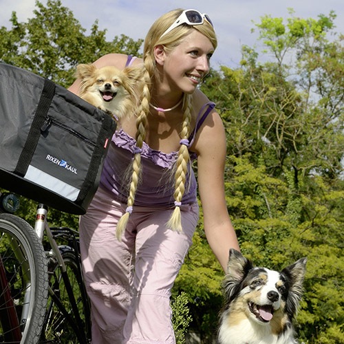 Produktbild KlickFix Doggy Lenkerkorb (24 l)