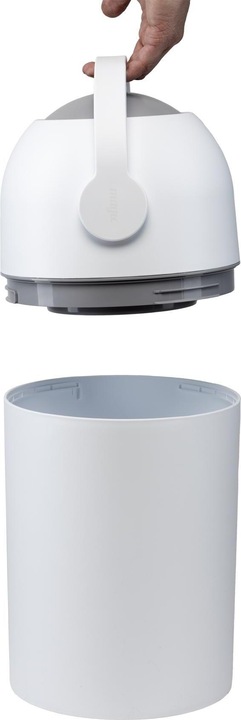Actual product image Magic Majestic (0 x)