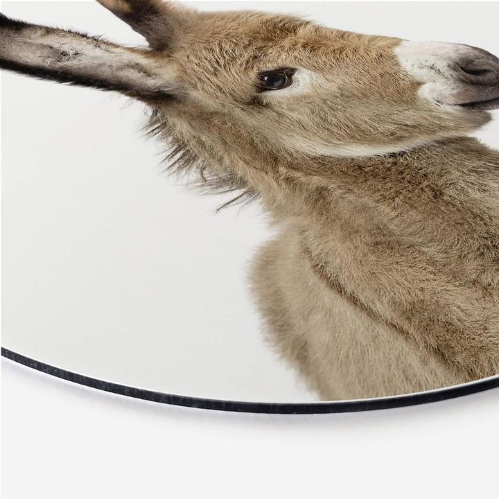 Immagine prodotto Trenddeko Asino bambino (Ø 30 cm)