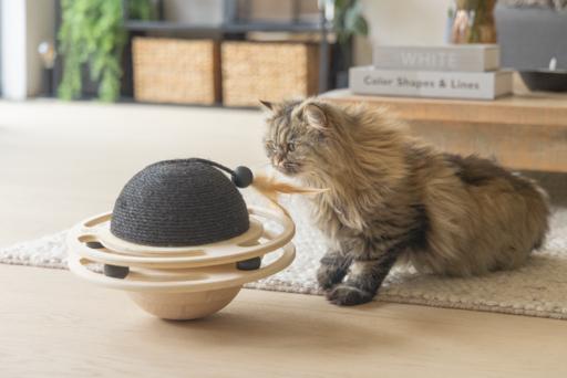 Produktbild Designed by Lotte Holz Spielball (Kratzspielzeug Katze)