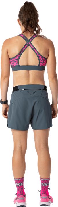 Image du produit Dynafit Alpine Graphic (M)