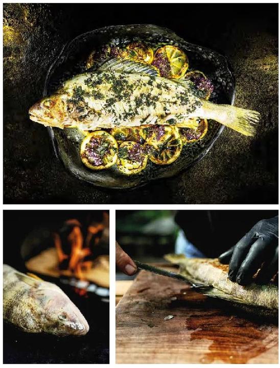 Produktbild Wild gegrillt (Deutsch, Tom Heinzle, 2022)